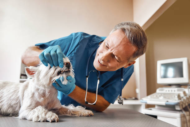Best Dental Abscess Treatment in Washington, IA
